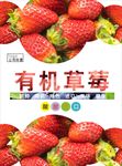 草莓海报