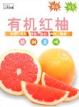 红柚海报