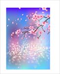 樱花图案