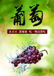 葡萄