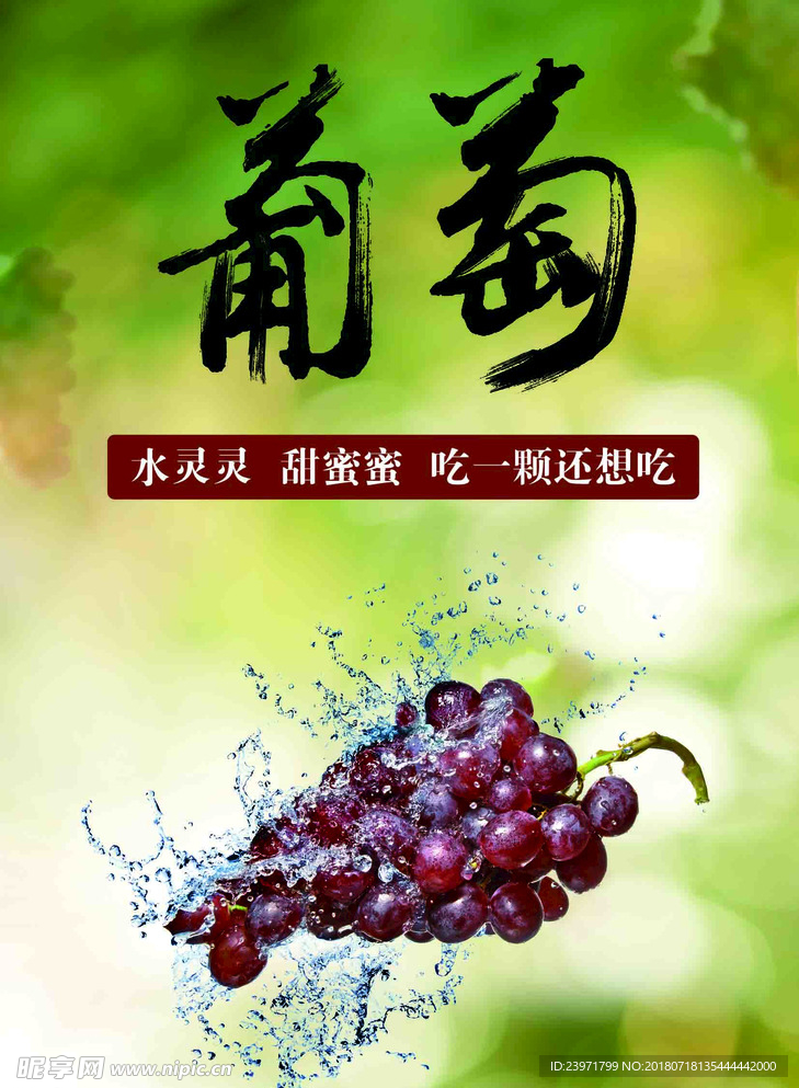葡萄