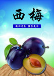 西梅
