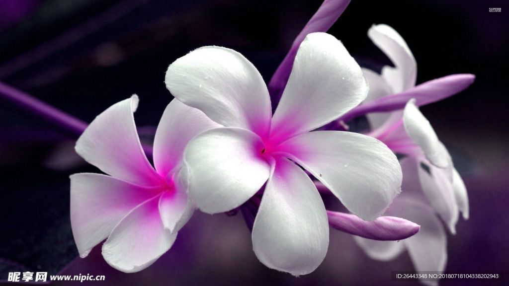 小花