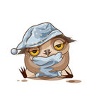 猫头鹰图片