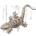 素描动物图片