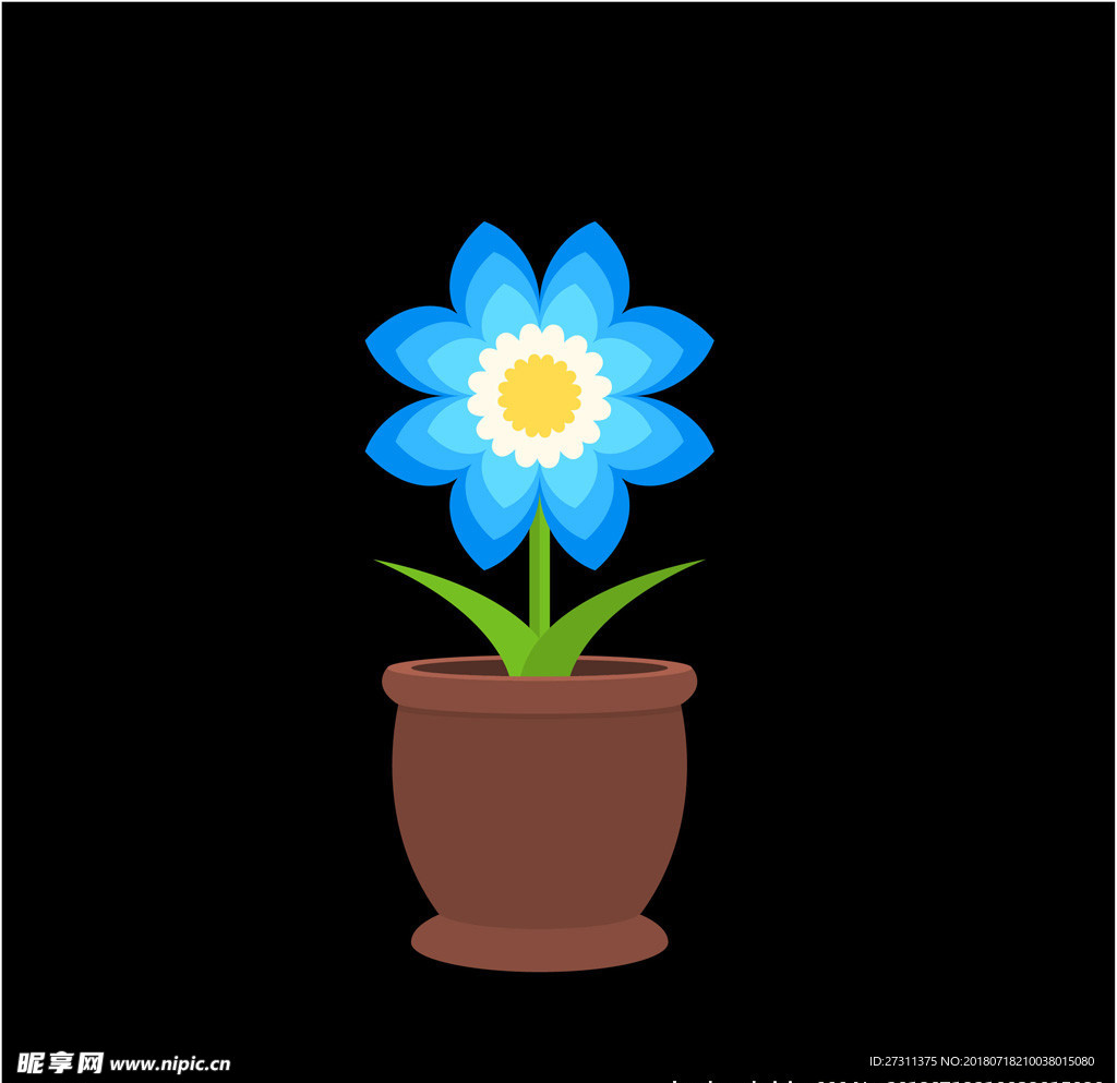 鲜花图片