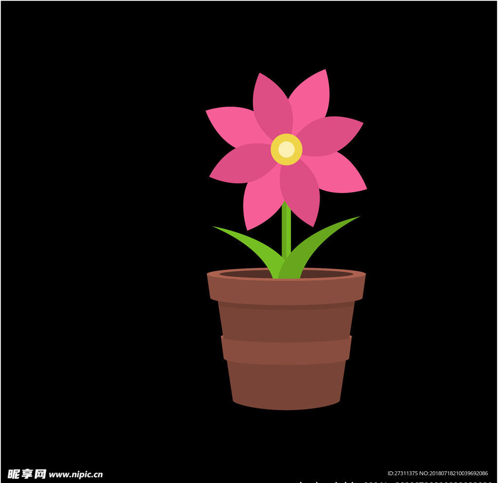 鲜花图片