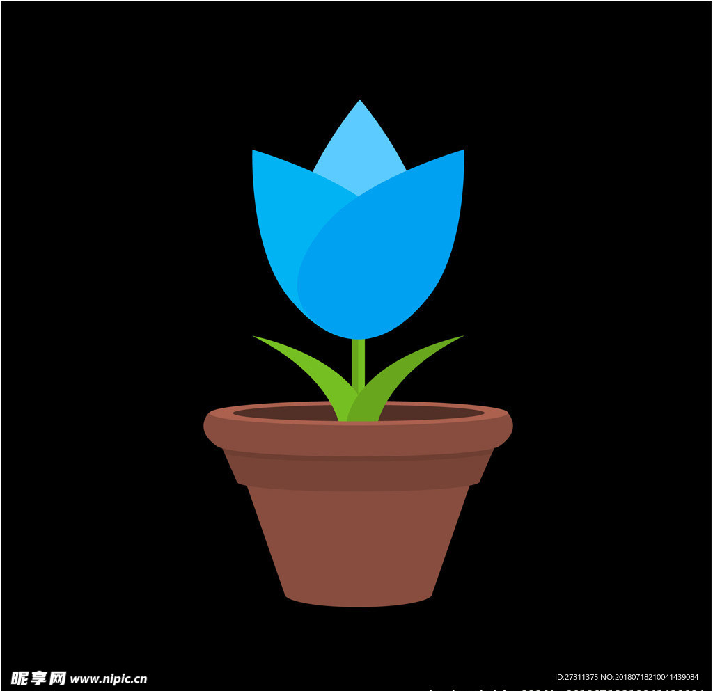 鲜花图片