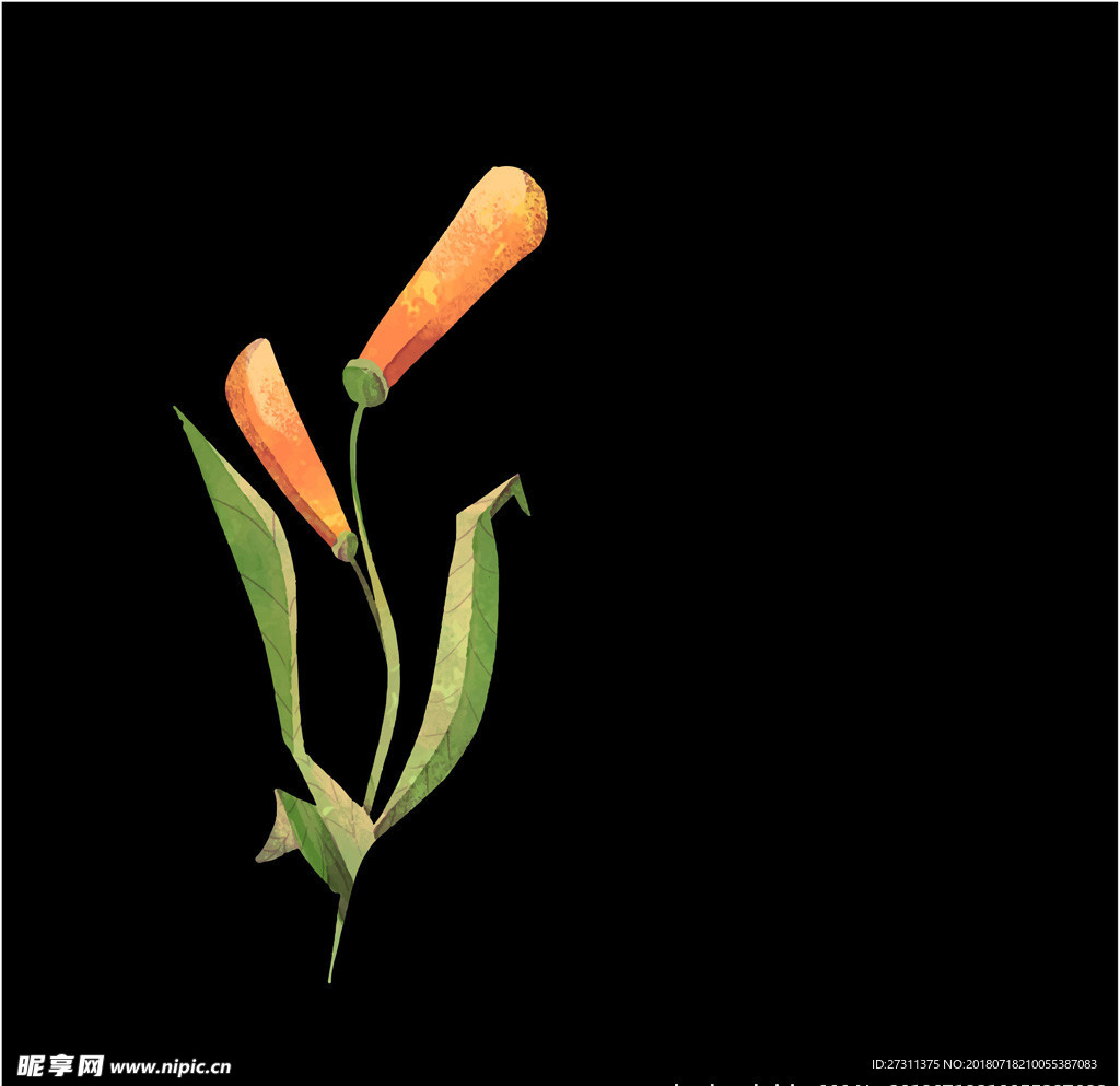 鲜花图片