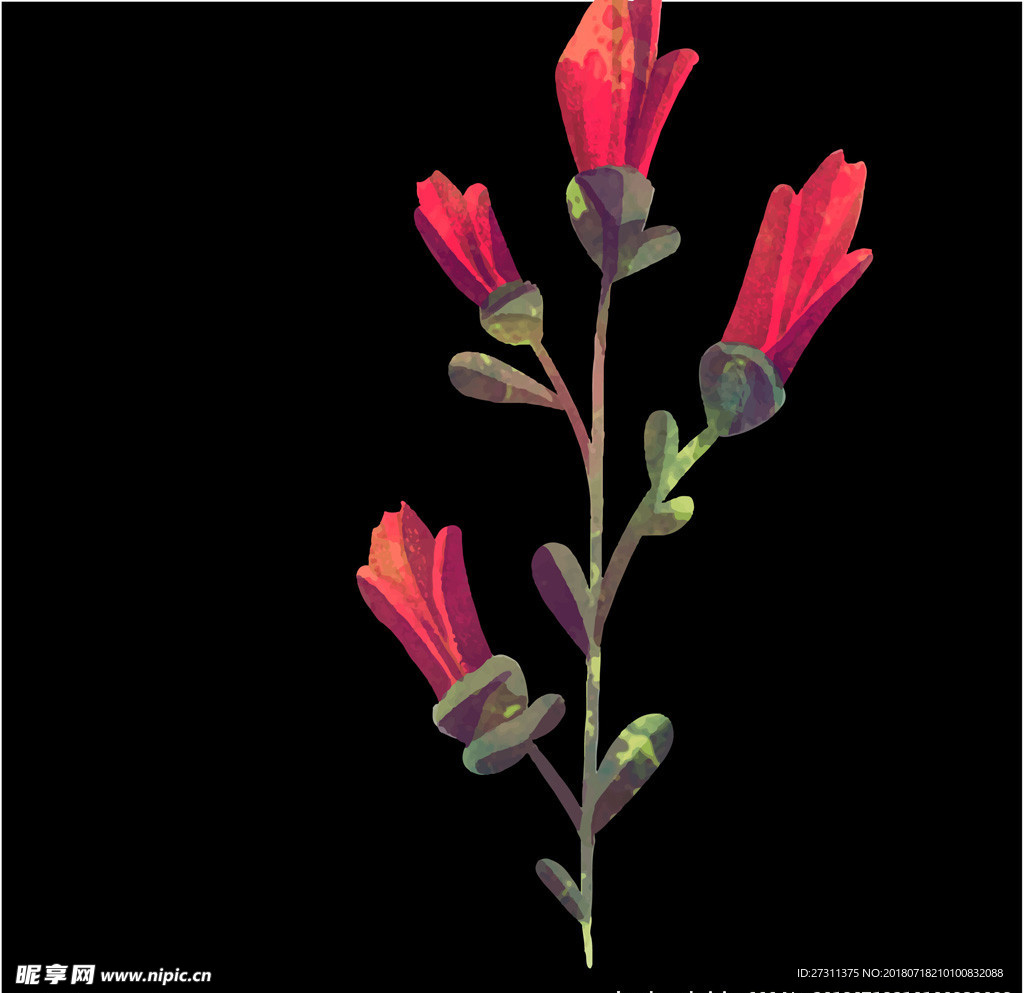 鲜花图片