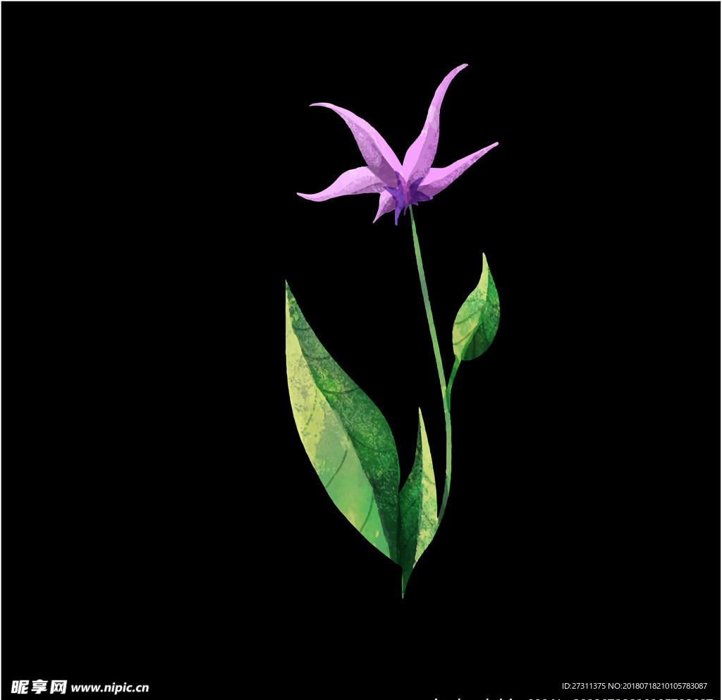 鲜花图片