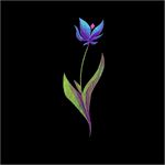 鲜花图片