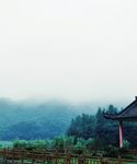 雾中山