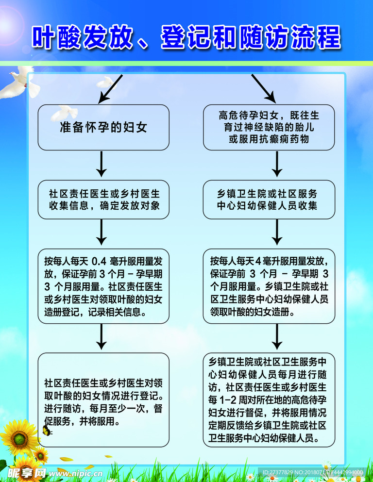 叶酸发放流程