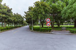 路