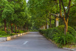 路