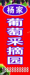 葡萄 葡萄园宣传   喷绘招牌