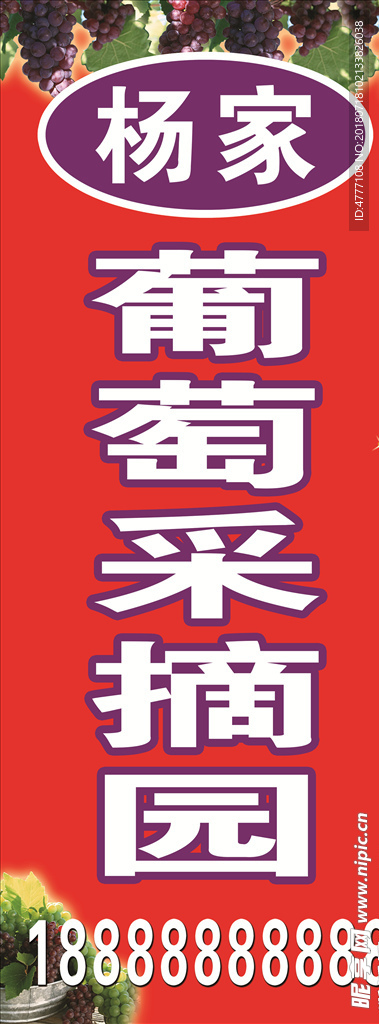 葡萄 葡萄园宣传   喷绘招牌