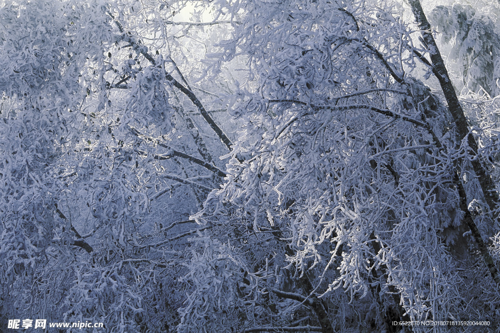 雪景 冬天景色 摄影