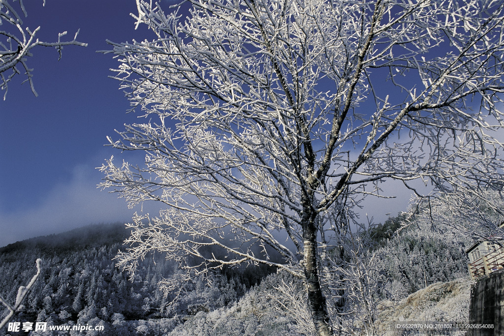 雪景 冬天景色 摄影