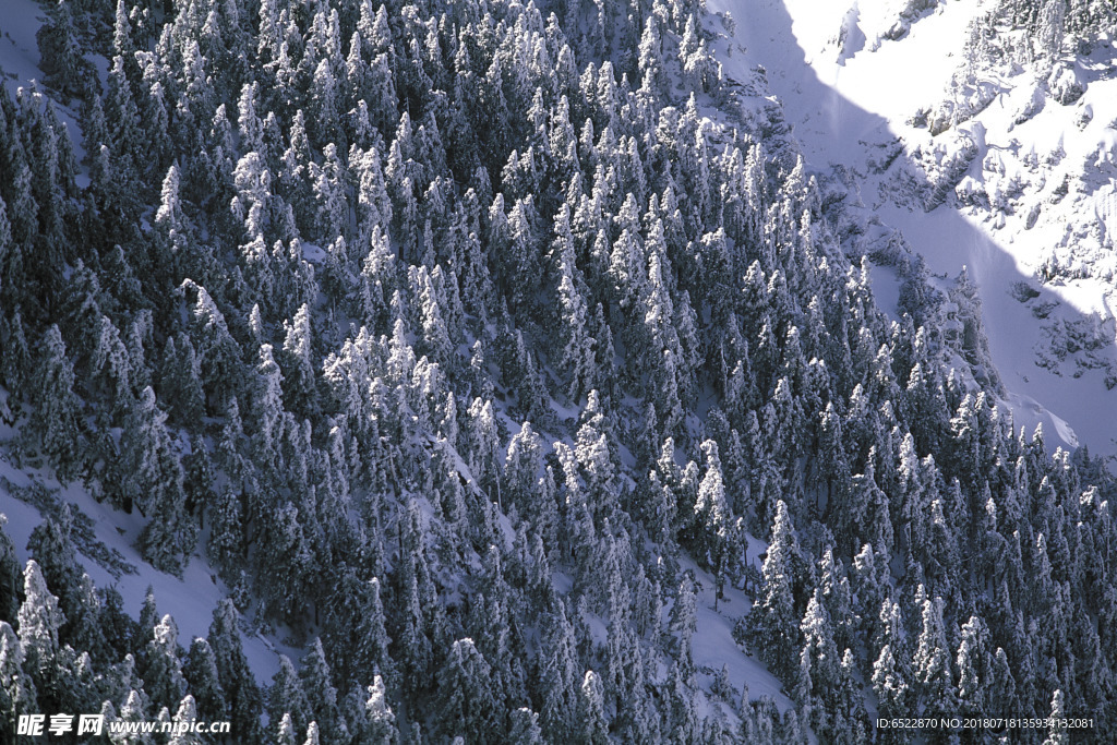 雪景 冬天景色 摄影