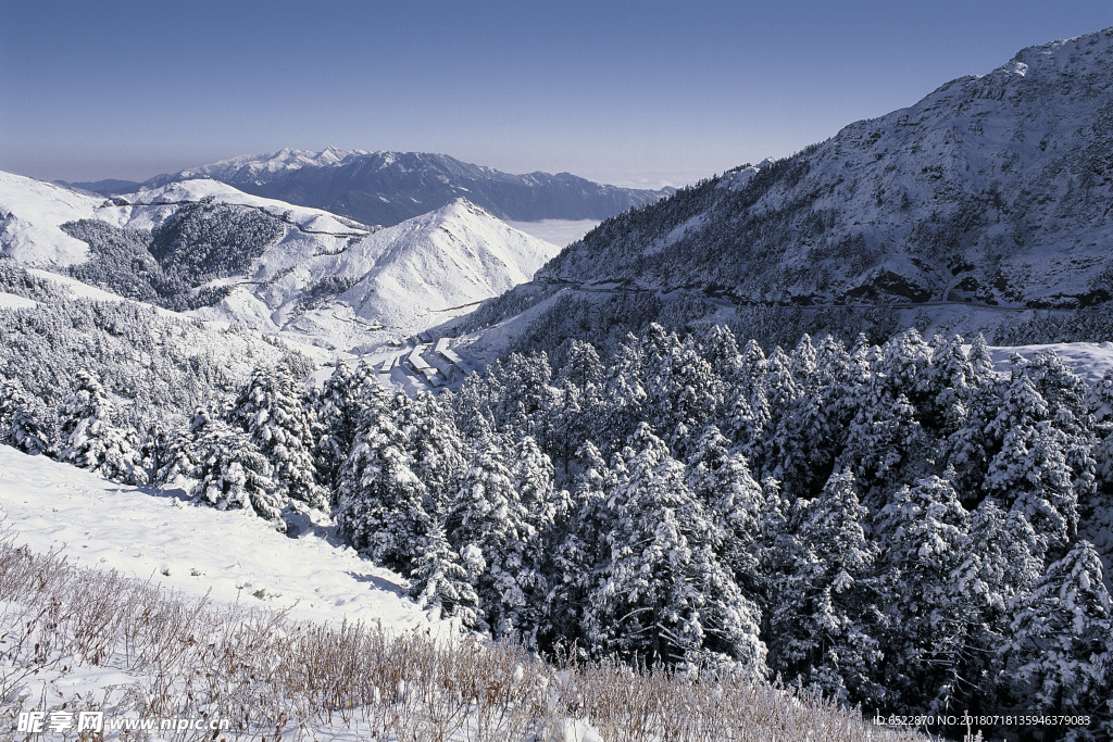 雪景 冬天景色 摄影