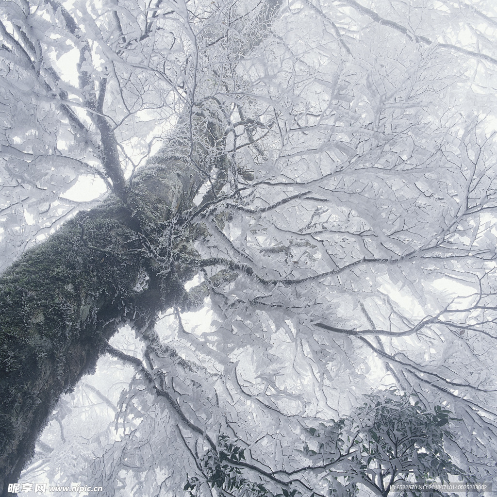 雪景 冬天景色 摄影