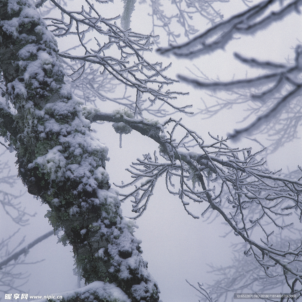 雪景 冬天景色 摄影