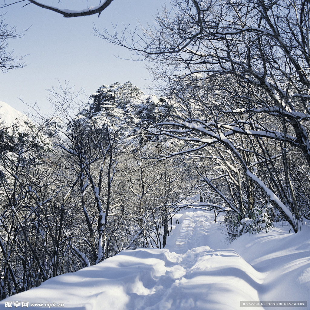 雪景 冬天景色 摄影