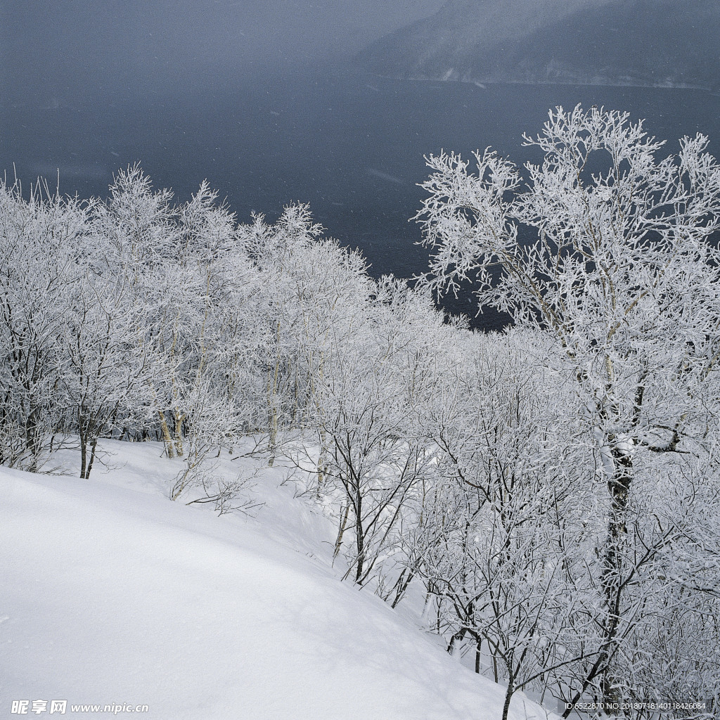 雪景 冬天景色 摄影