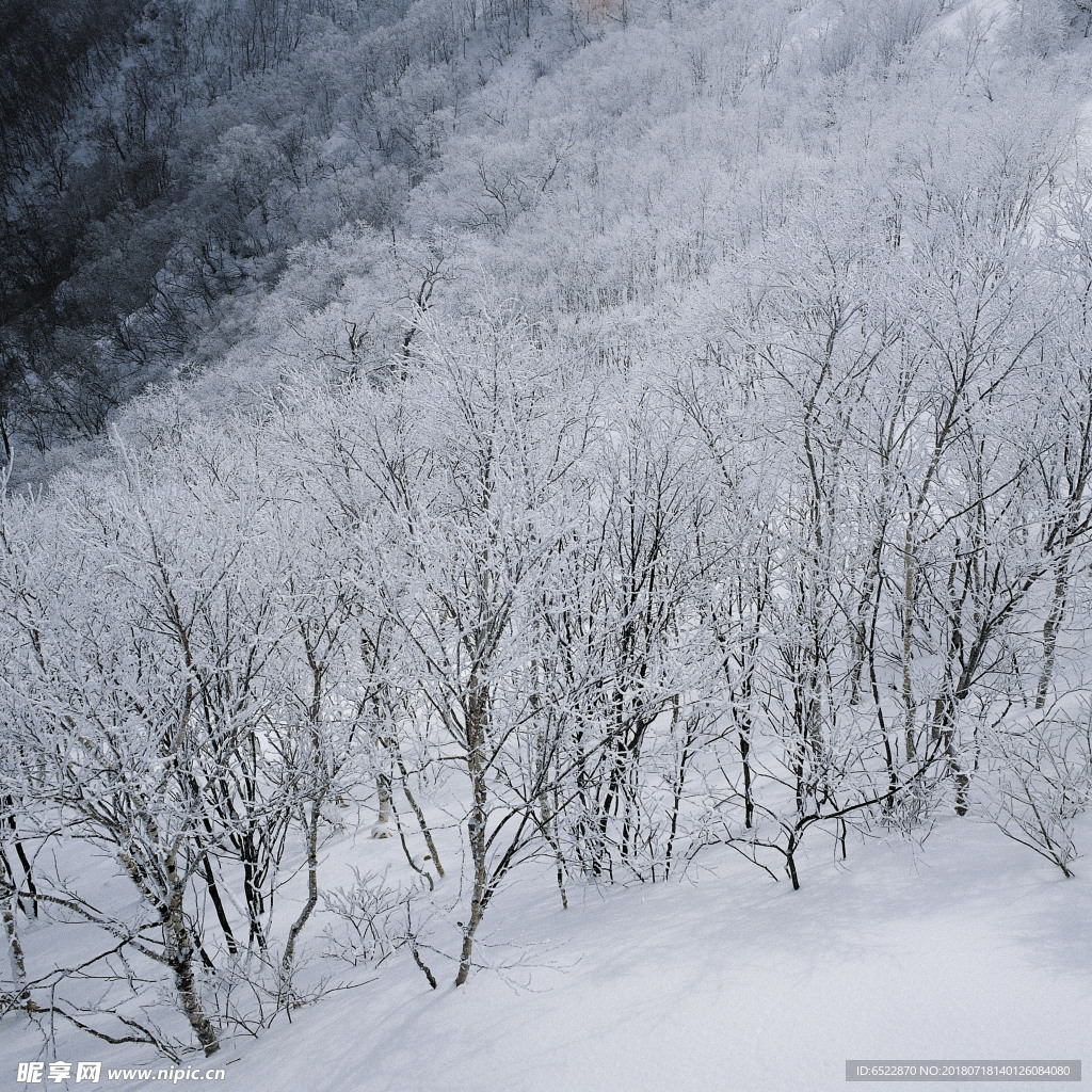 雪景 冬天景色 摄影