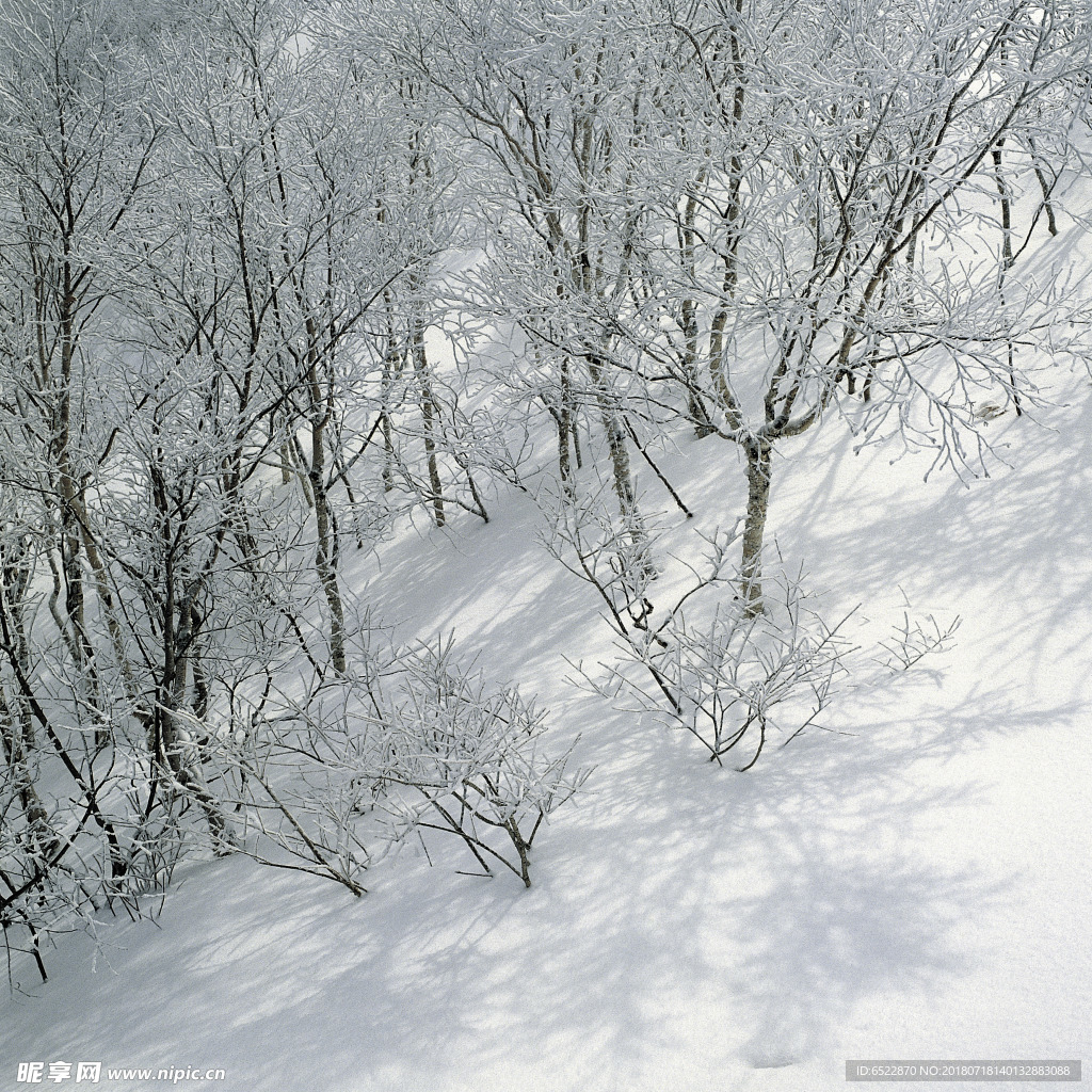 雪景 冬天景色 摄影