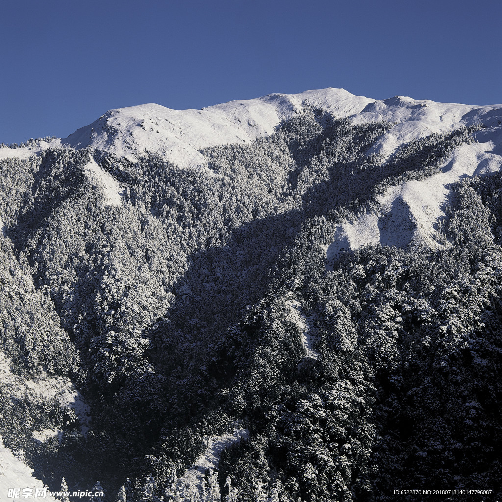 雪景 冬天景色 摄影