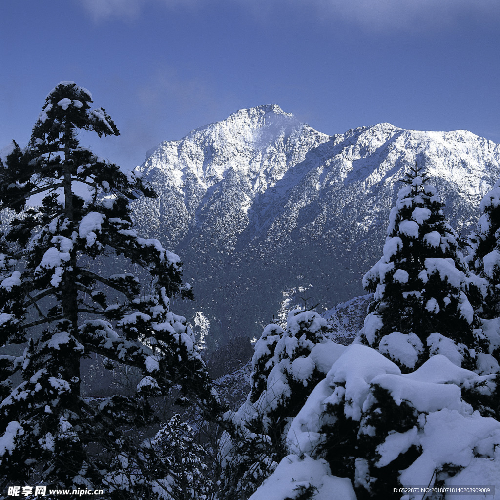 雪景 冬天景色 摄影