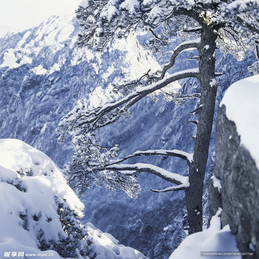 雪景 冬天景色 摄影