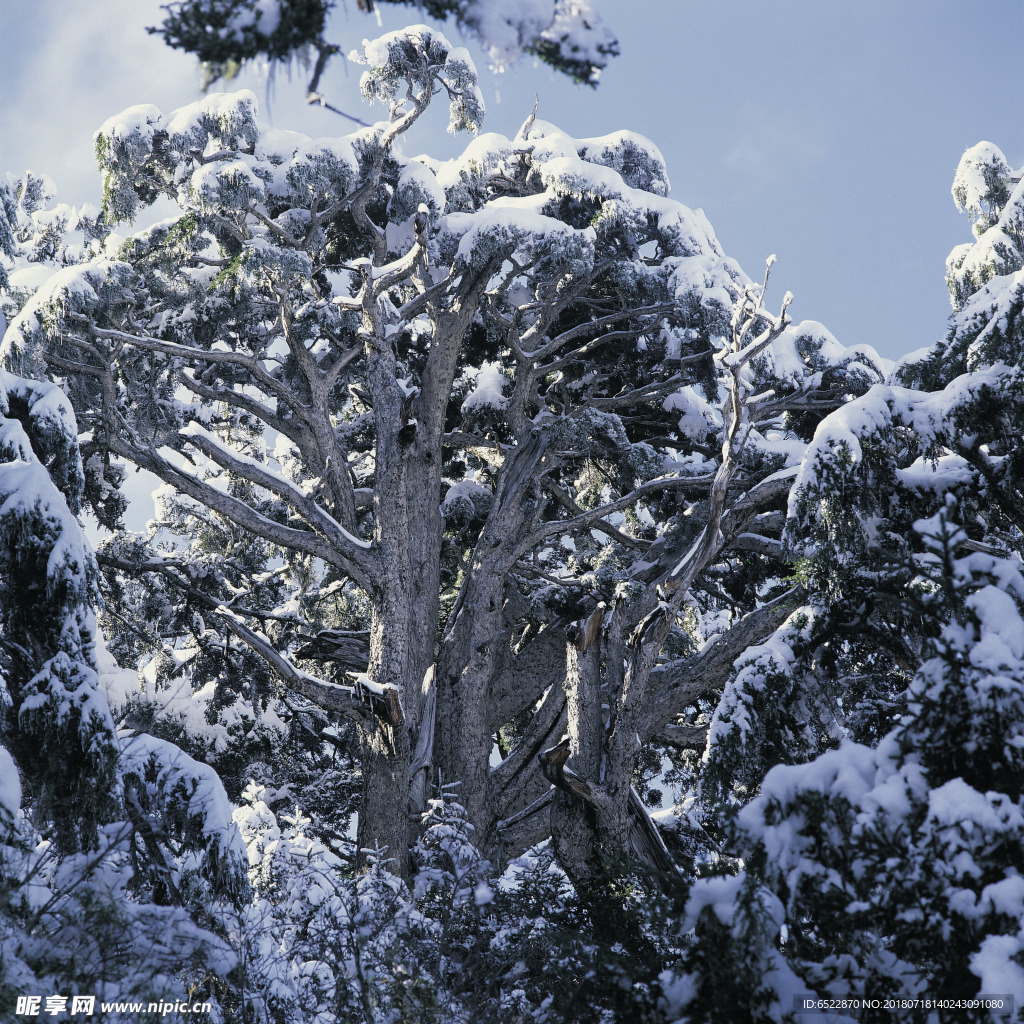 雪景 冬天景色 摄影