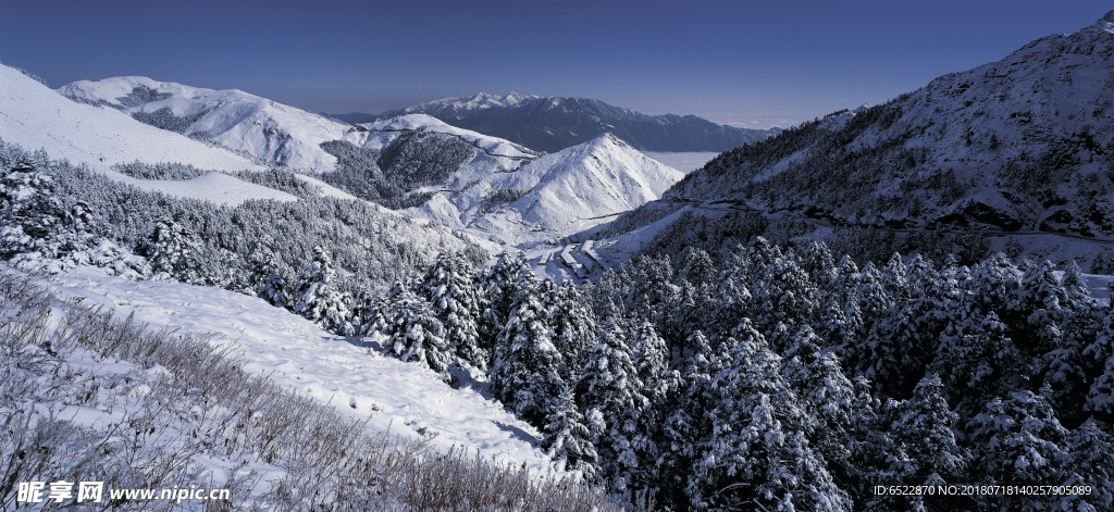 雪景 冬天景色 摄影