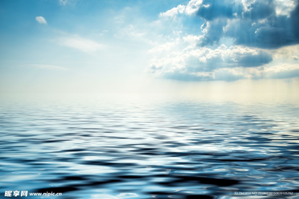 海