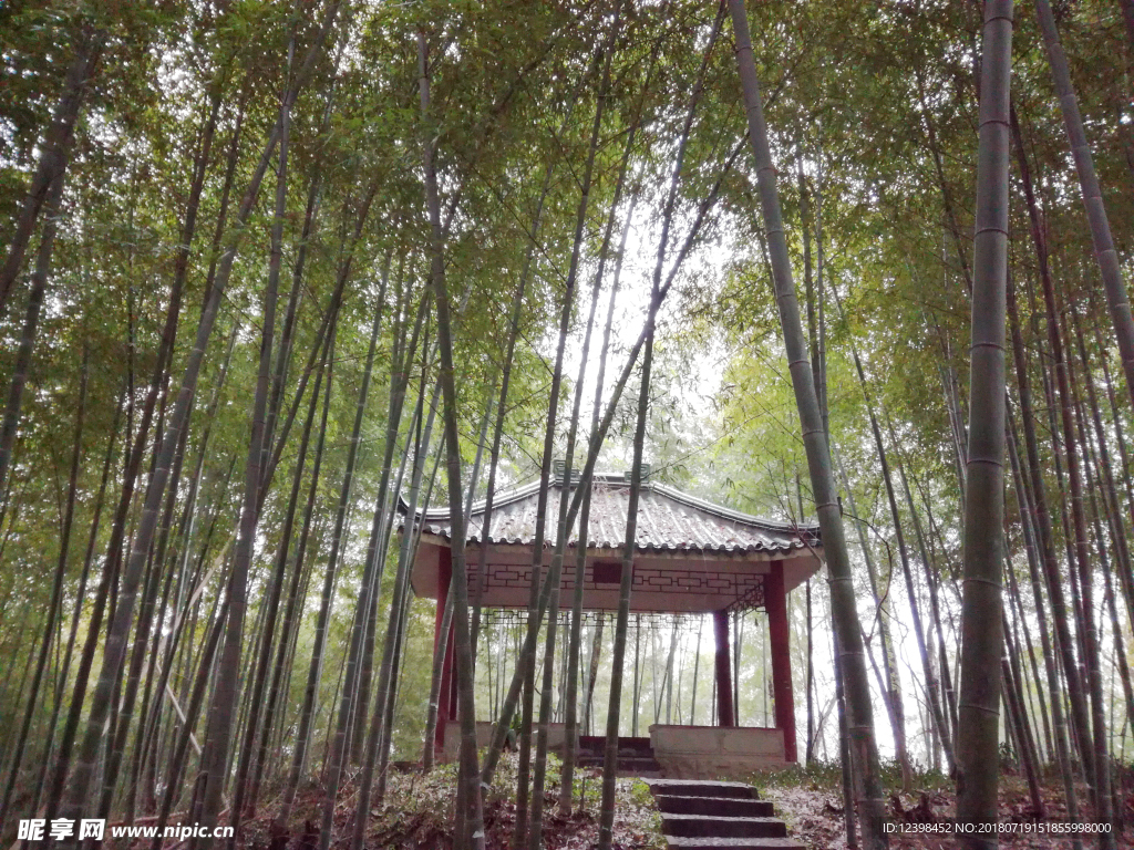 楠竹林