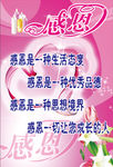 感恩老师