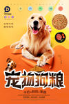 宠物狗粮