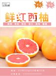 红西柚海报