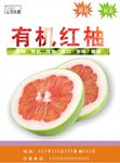 红柚海报