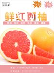红西柚海报