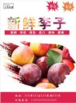 李子海报