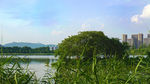 公园水景