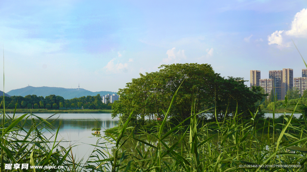公园水景