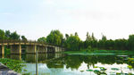 湖上小桥