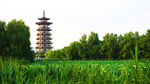 白鹭塔风景