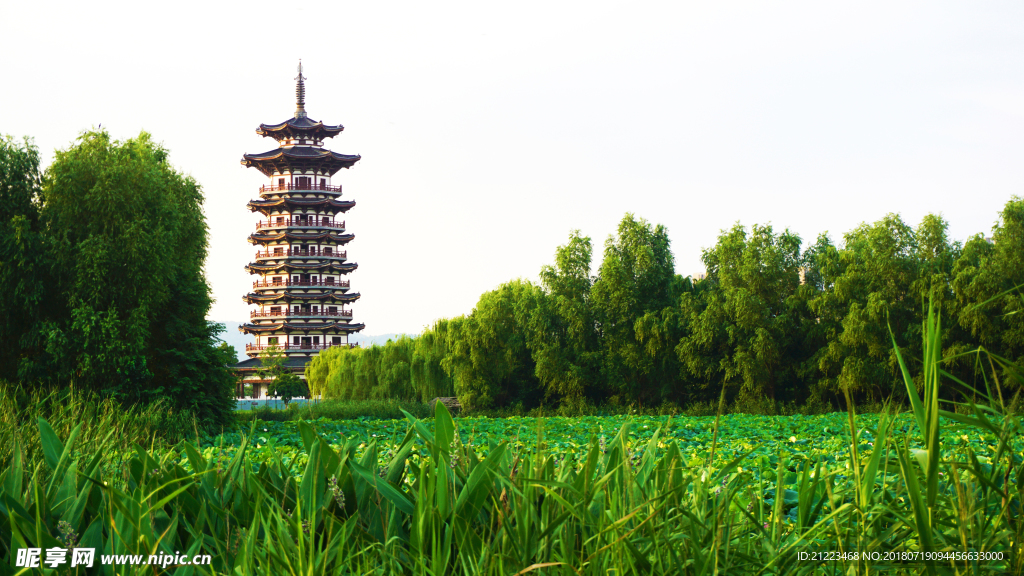白鹭塔风景